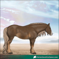 Horse Color:Chocolate Palomino Splash 
