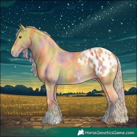 Horse Color:Nacre Palomino Blanket Rabicano
