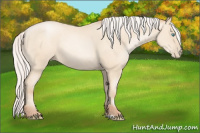 Horse Color:Silver Amber Cream Champagne Pearl 