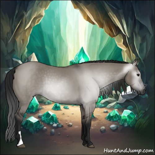 Horse Color:Gray Grullo 
