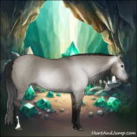 Horse Color:Gray Grullo 
