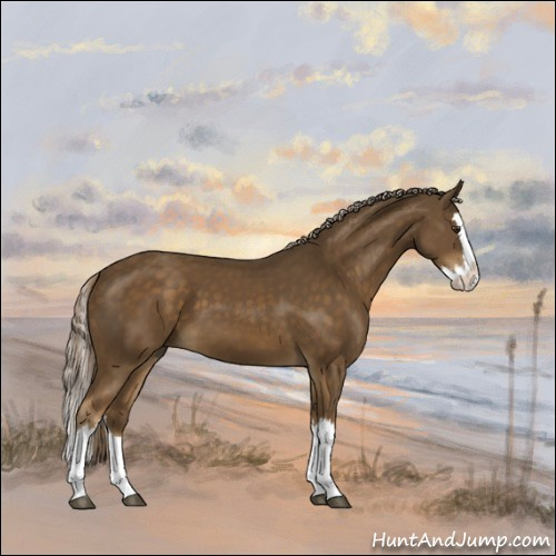 Horse Color:Chocolate Palomino Splash