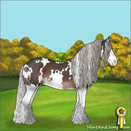 Horse Color:White Spotted Silver Black Splash 