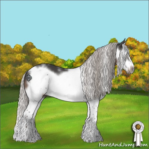 Horse Color:White Spotted Silver Black Splash Frame