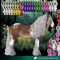 Horse Color:Silver Black Splash Tobiano  and Silver Black Splash Tobiano 