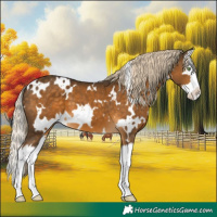 Horse Color:White Spotted Chocolate Palomino Splash