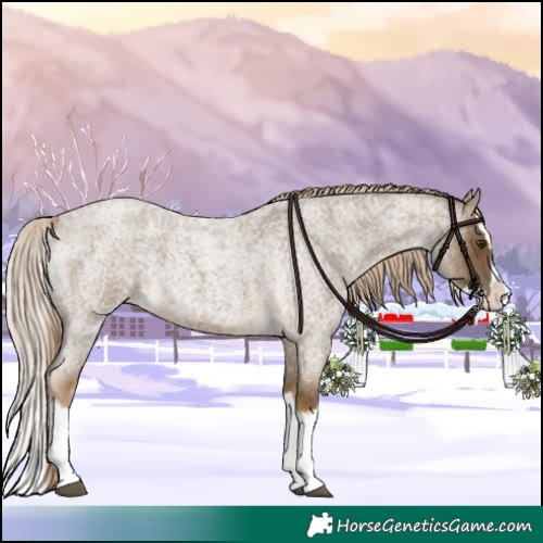 Horse Color:Chocolate Palomino Roan Splash