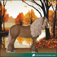 Horse Color:Chocolate Palomino Splash 