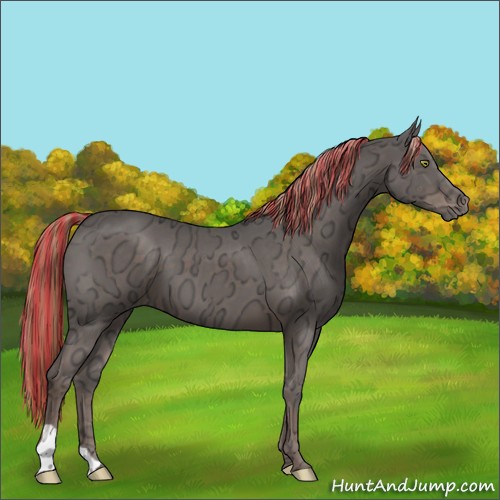 Horse Color:Painted Liver Chestnut Ice 