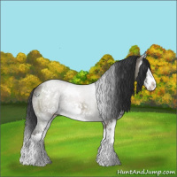 Horse Color:Grullo Sabino Splash 