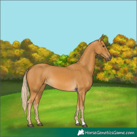 Horse Color:Palomino 