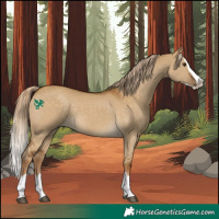 Horse Color:Chocolate Palomino Dun Splash 