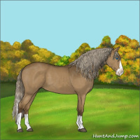 Horse Color:Chocolate Palomino Splash 