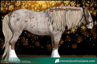 Horse Color:Chocolate Palomino Roan Splash