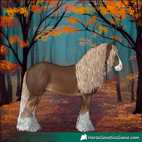 Horse Color:Chocolate Palomino Splash 