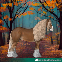 Horse Color:Chocolate Palomino Splash 