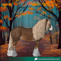 Horse Color:Chocolate Palomino Splash 