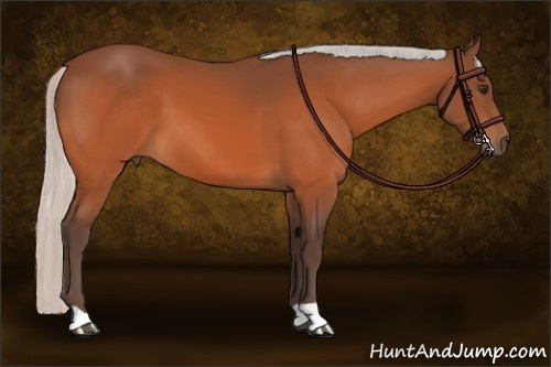 Horse Color:Silver Brown 