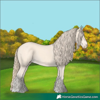 Horse Color:Perlino 