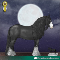Horse Color:Black Sabino