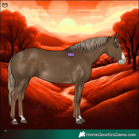 Horse Color:Chocolate Palomino Splash 