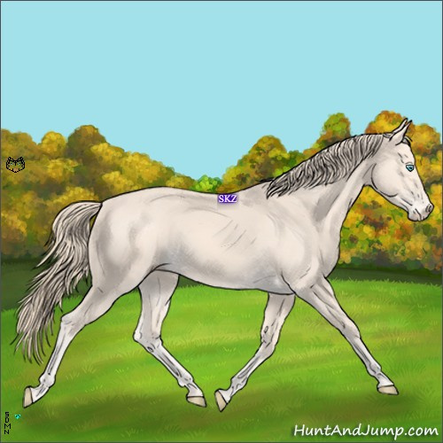 Horse Color:Perlino