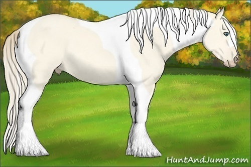 Horse Color:Perlino Dun Tobiano 