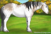 Horse Color:White Spotted Brown Dun Sabino