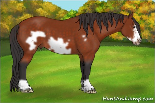 Horse Color:Brown Frame 