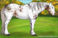 Horse Color:White Spotted Silver Brown 