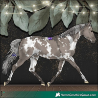Horse Color:Platinum White Spotted Silver Grullo