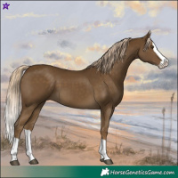 Horse Color:Chocolate Palomino Mushroom Splash 