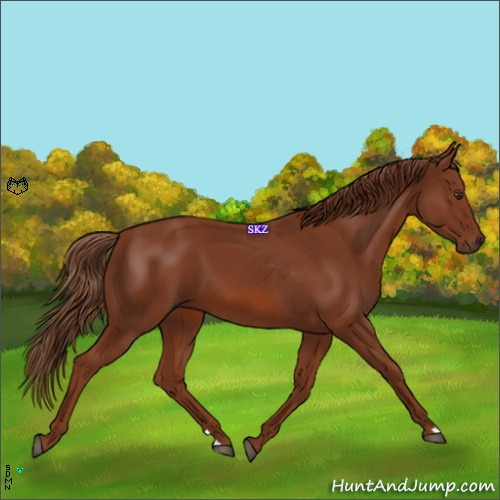 Horse Color:Chestnut 