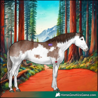 Horse Color:Liver Chestnut Sabino Splash and Liver Chestnut Splash