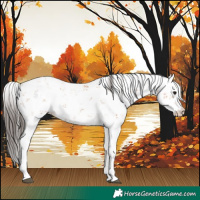 Horse Color:Bay Sabino 