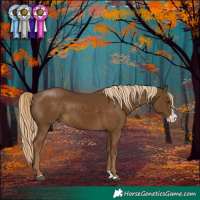 Horse Color:Chocolate Palomino Splash