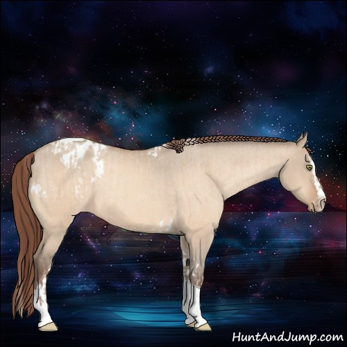 Horse Color:Amber Champagne Dun Sabino Tobiano Appaloosa and Amber Champagne Dun Sabino Splash Tobiano Appaloosa