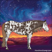 Horse Color:Liver Chestnut Sabino Splash Appaloosa  and Liver Chestnut Sabino Splash Appaloosa 