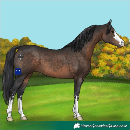 Horse Color:Brown 
