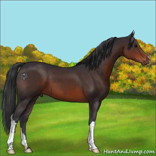 Horse Color:Brown 