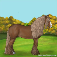 Horse Color:Chocolate Palomino Splash