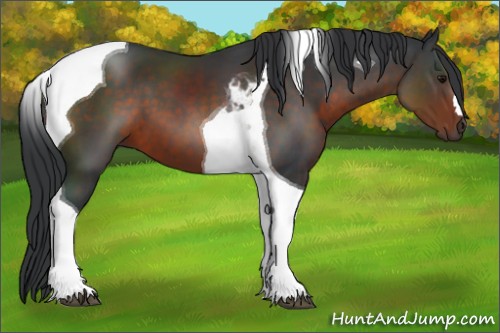 Horse Color:Brown Tobiano