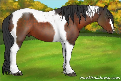 Horse Color:Brown Tobiano 
