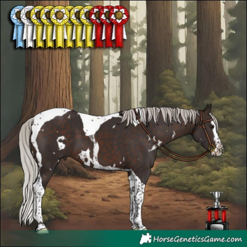 Horse Color:White Spotted Silver Brown Splash Tobiano 