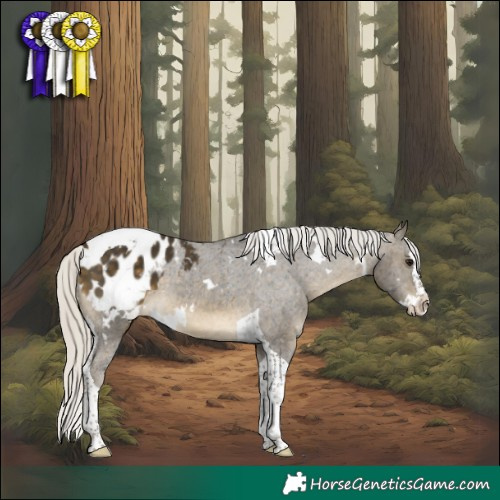 Horse Color:White Spotted Silver Buckskin Splash Tobiano Appaloosa 