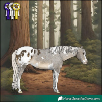 Horse Color:White Spotted Silver Buckskin Splash Tobiano Appaloosa 