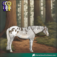 Horse Color:White Spotted Silver Buckskin Splash Tobiano Appaloosa 