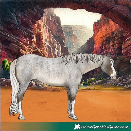 Horse Color:Silver Buckskin Roan Splash 