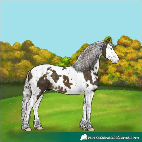 Horse Color:White Spotted Silver Buckskin Splash Tobiano 