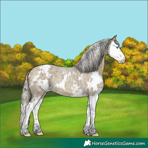 Horse Color:White Spotted Silver Buckskin Roan Dun Splash 